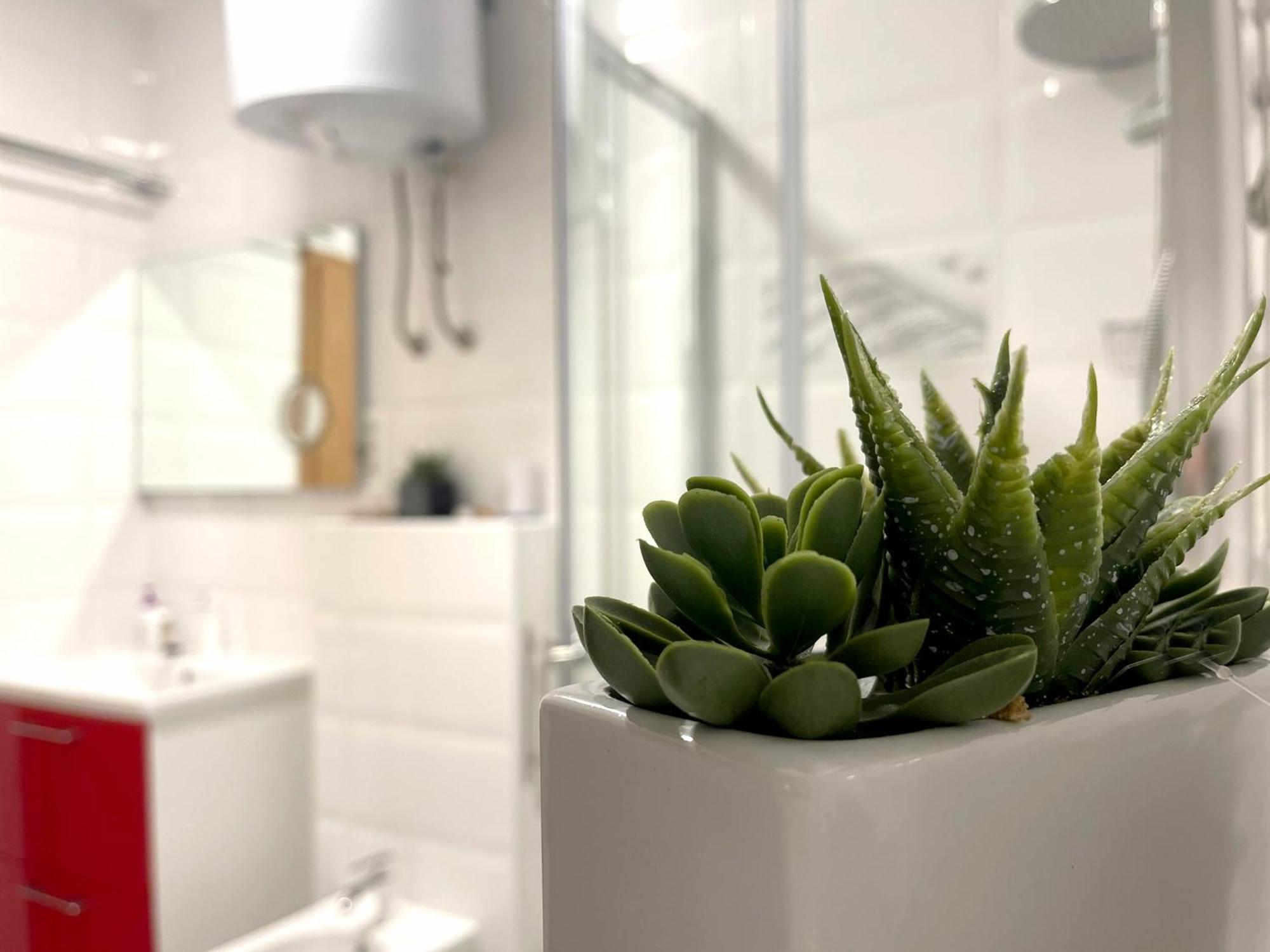 Roma Trogir Apartment Екстериор снимка